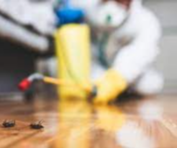 pest control services